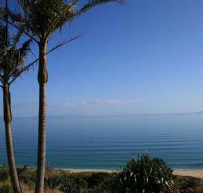 JUST PARADISE VIEW