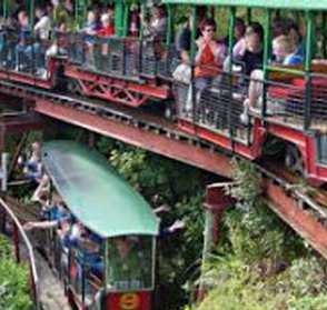 Driving Creek Railway