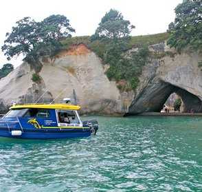 Cathedral Cove Scenic Explorer