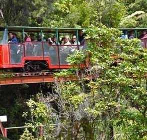 Driving Creek Railway