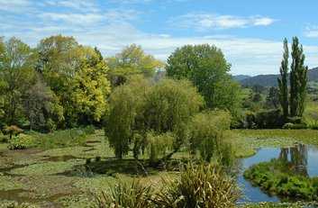 Lake in the Garden
