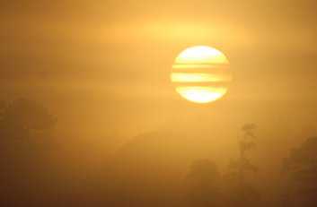 Sunrise at the Gardens
