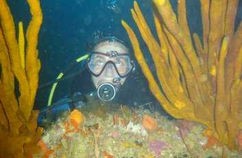 Beautiful marine environment