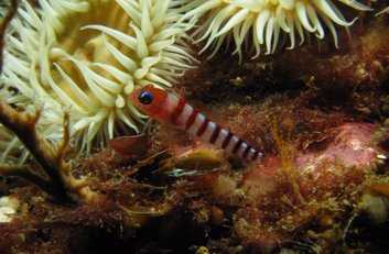 Beautiful marine environment
