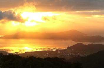 Coromandel Gold