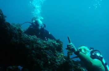 Our Dive Boat Scubadoo