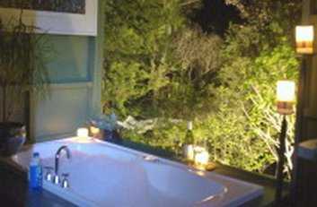 Treetop Bathhouse