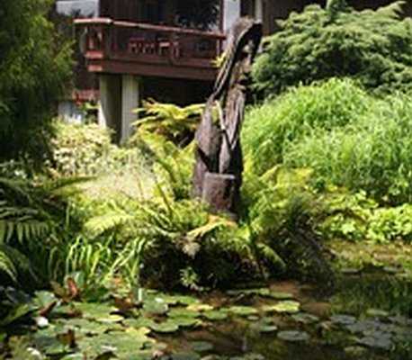 Ponga garden sculpture