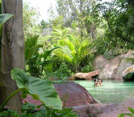 The Lost Spring