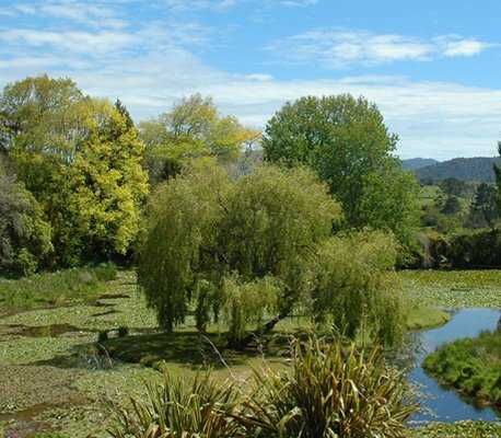 Lake in the Garden