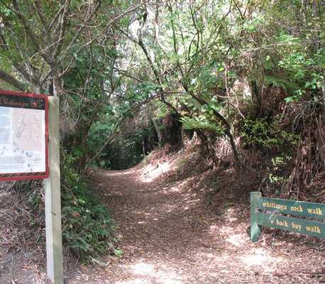 Whitianga Rock Walk