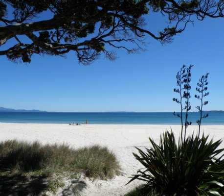 Otama Beach Coromandel