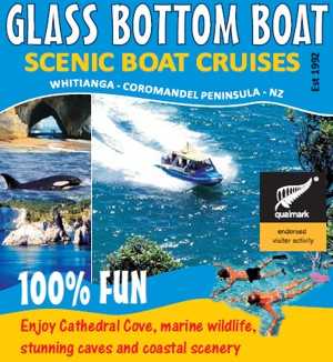 Glass Bottom Boat - Mercury Bay 