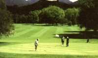 Whangamata Golf