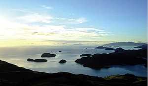 Coromandel Colonial Cottages Motel