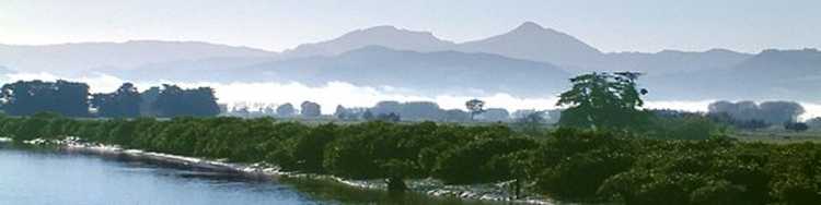 Tourism Coromandel