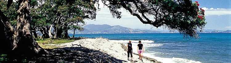 Tourism Coromandel