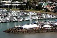 Scallop Festival Whitianga
