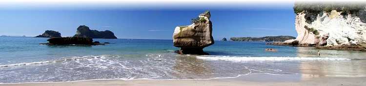 Tourism Coromandel