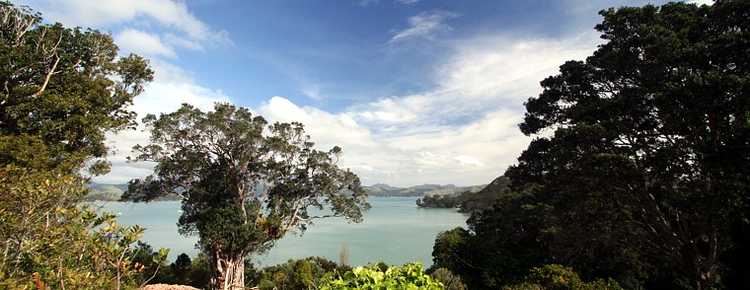 Tourism Coromandel