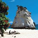 Cathedral Cove - The Coromandel NZ