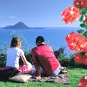 Beach Scene Whakatane